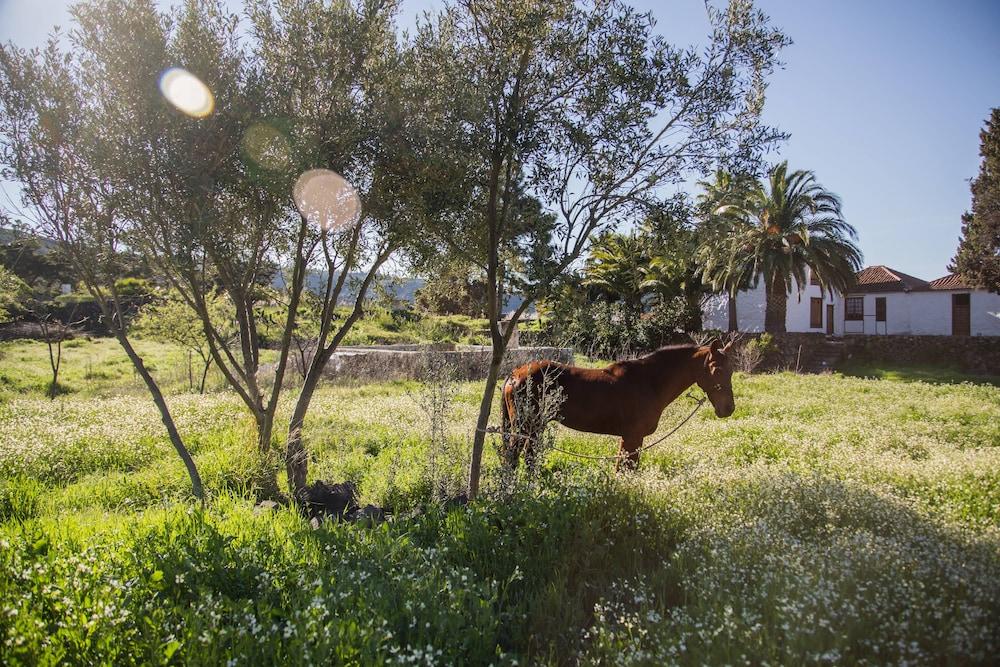 La Casona Del Patio Hotel Santiago del Teide Екстериор снимка